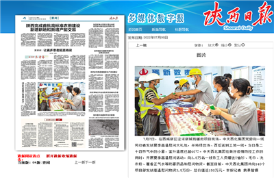 恒峰国际西北集团珑樾府项目高温慰问——《陕西日报》